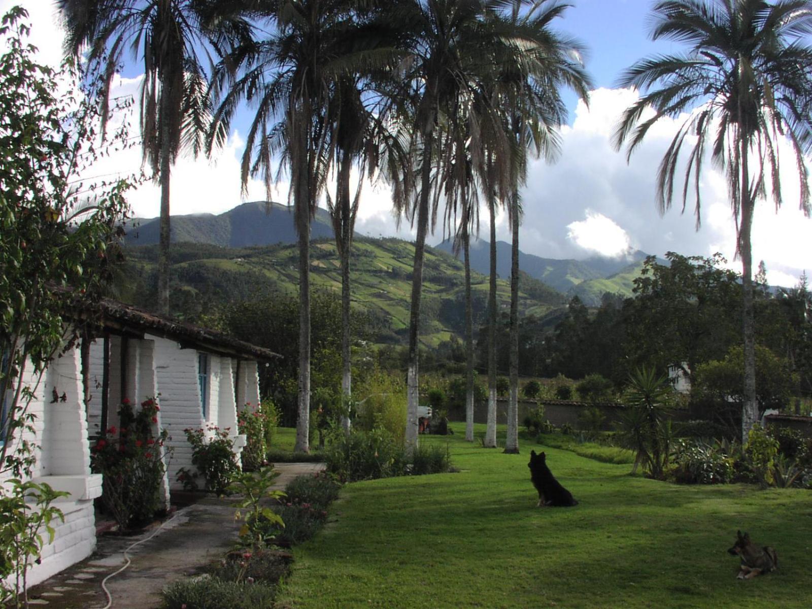 Las Palmeras Inn Otavalo Buitenkant foto